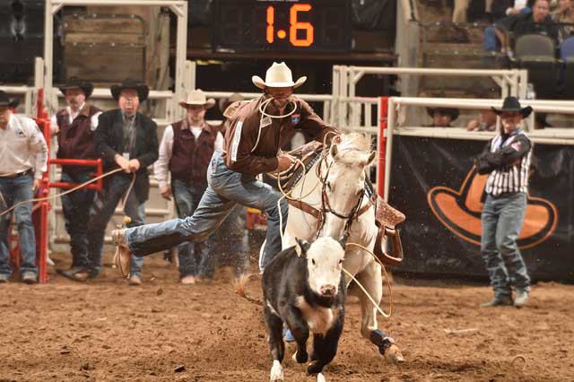 San Antonio Stock Show & Rodeo - FEBRUARY